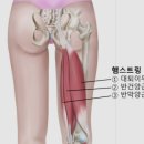 스트레칭운동센터