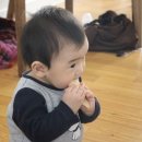 얼라서울 이미지
