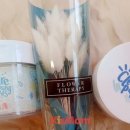 순수세정 이미지