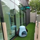 몽글멍글 이미지