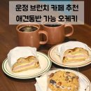 애견마을 | 운정 애견동반 카페 | 산내마을 케이크 샌드위치 맛집 오케키 내돈내산 후기