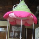 베이비루니툰 이미지