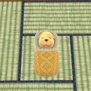 (주)이노메가 | 2박3일 일본 도쿠시마 여행