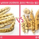 솔그린(주) 이미지