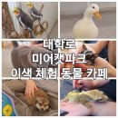 대학로동물병원 | 대학로 이색데이트 추천｜미어캣파크 동물체험 카페 내돈내산 후기