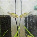 유구매일한우목장 | 목포 소고기 한우 맛집 고기목장! 현지인 인정♥