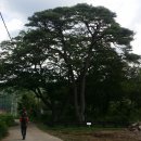 신기리신발 이미지