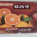 뜨레향
