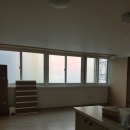 한신스포렉스 이미지