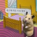 부타 - 전주시 완산구 마전들로 7 | 부타
