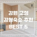 루체루나펜션 | 강원 고성 힐링 가득한 독채 감성숙소 BEST 5+링크･ﾟ✧