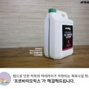 영종주짓수