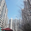 신한아파트 이미지