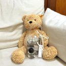 파인위드 이미지