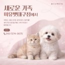 창녕동물병원 | 창녕애견분양 어디서 시작하느냐에 따라 만족도가 달라집니다