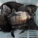 하예동-9 이미지