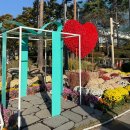 2019 오륙도평화축제 | 부산 11월 가을꽃 명소 추천, 평화공원 국화축제 2025 현장 스케치