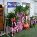 부산복싱클럽 이미지