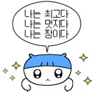 블레스정육점