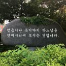 젤라 이미지