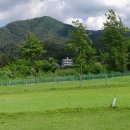 [단독]단속 아랑곳 않고 무단 ‘파크골프’ 삼매경 이미지