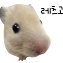 복수서로 이미지