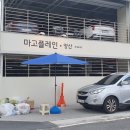 마고플레인 양산