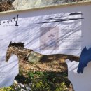 방어진산성(시리성) 이미지