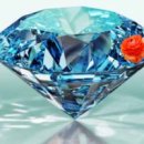 보석이네 이미지