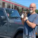 도그살롱 이미지