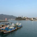 해원장횟집 | 곳, 선진리성 벚꽃구경 , 3월30일 현재 개화상태 / 선진수변공원도 너무 이쁘다 (feat . 해원장횟집후기)