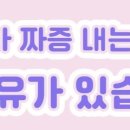 정암초교 이미지