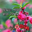 초심 이미지