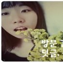 고모네칼국수 이미지