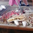 소양참숯찜질방 이미지