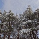 내와분교 이미지