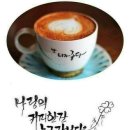 눈꽃나무 - 공주시 제민천1길 109 | 눈꽃나무