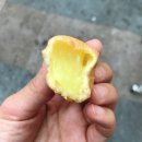 고인돌휴게소(하행선) 네이버블로그