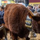 Au Salon de l’agriculture, Emmanuel Macron demande à la grande distribution 이미지