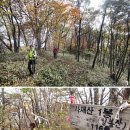 도마니 | 강원 / 영월 / [명품 조망능선 산행 코스가이드 | 사자산~구봉대산] 적멸보궁을 지키는 사자와의 한판 승부