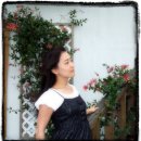 해금강 솔레미오펜션 이미지