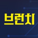 뇌 절반 없앤 생쥐에 사람의 미니 뇌 이식했더니… 이미지