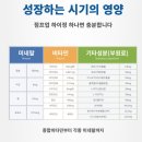 하이정 이미지