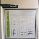 일산 클래식 필라테스｜필라테스 강사가 선택한 클래식필라테스205 내돈내산 후기