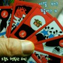 삼구사구 Daum카페