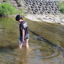 부성태권도장 이미지