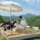 동기목장 이미지