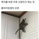 우풍 이미지