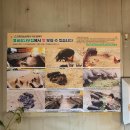 용골농장 이미지