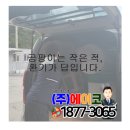 곰팡이제거업체